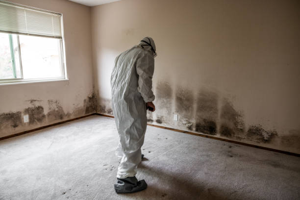 Mold Remediation for Rental Properties in Coppell, TX